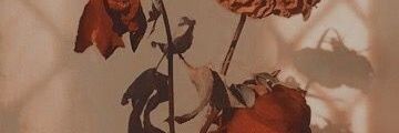 namucchii's profile banner image