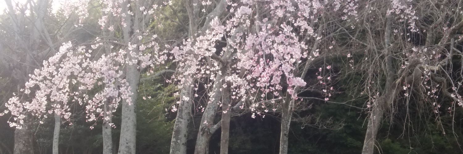 田場翔 banner