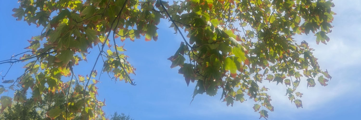 FloogleDoogleSr's profile banner image