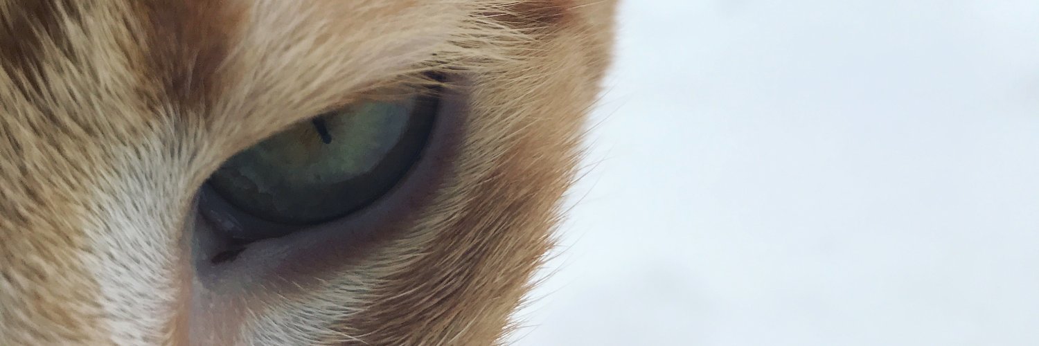 MelZombi's profile banner image