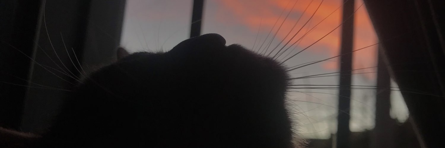 meliperezjj's profile banner image