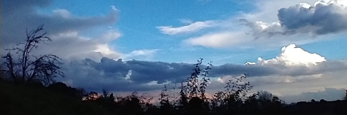ibreyesgonzalezmx banner