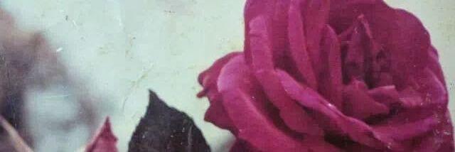 AzamRafiee's profile banner image