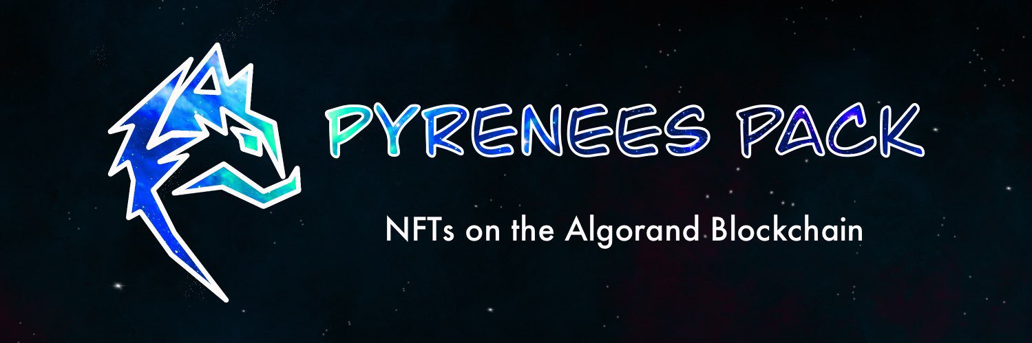 theȺlgoPapi.algo banner