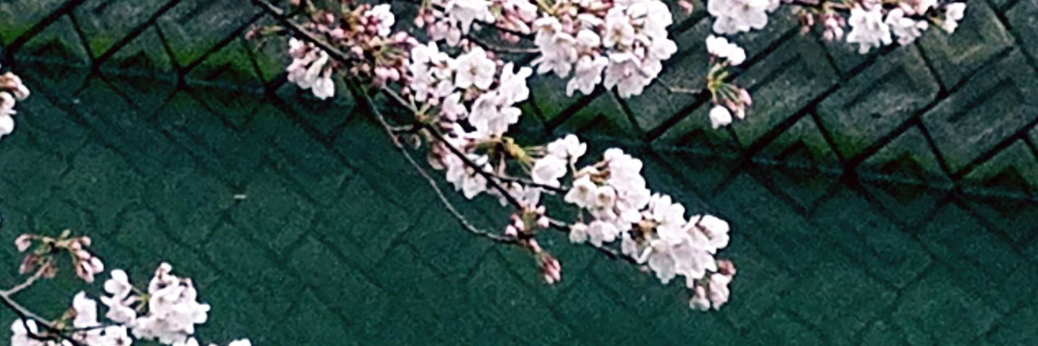 blossom3320's profile banner image