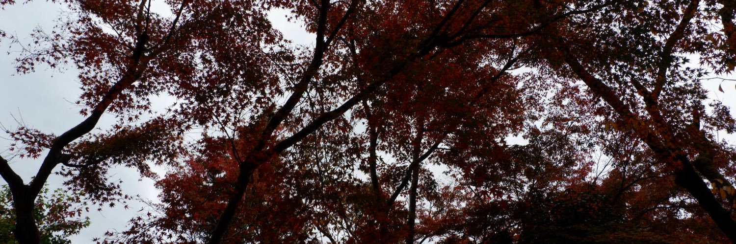 furisukabo's profile banner image