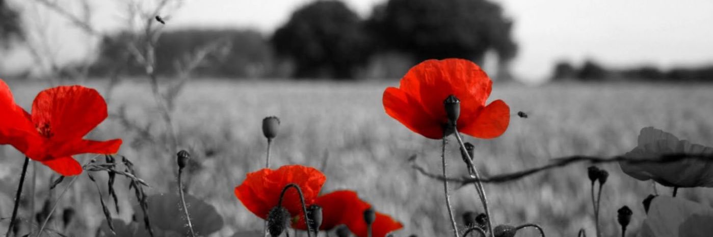 AMHussein83's profile banner image