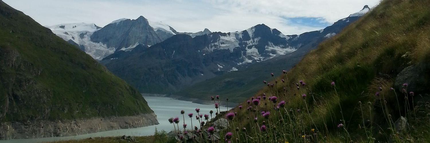 grebnam's profile banner image