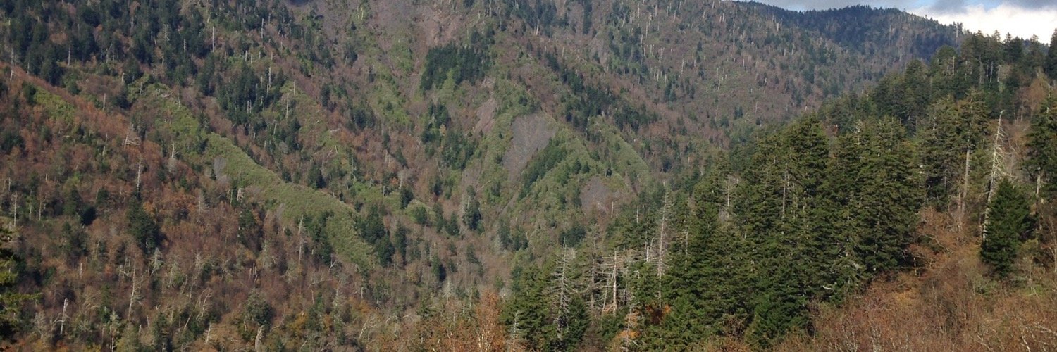 AllisonHaskell1's profile banner image