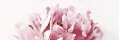 shamoookk's profile banner image