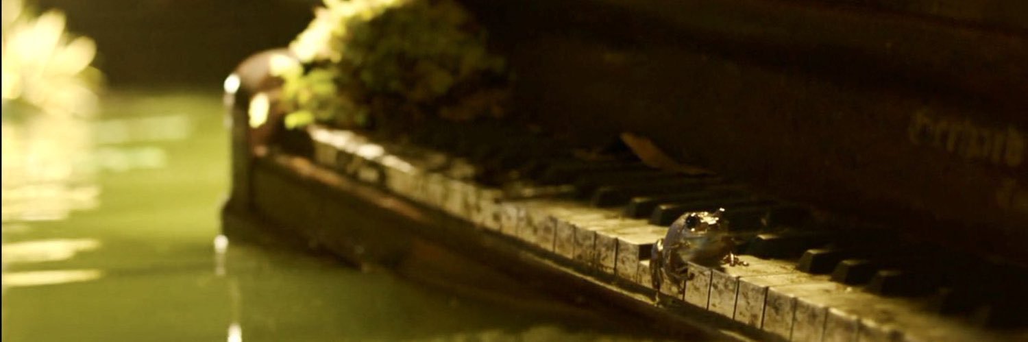nik banner
