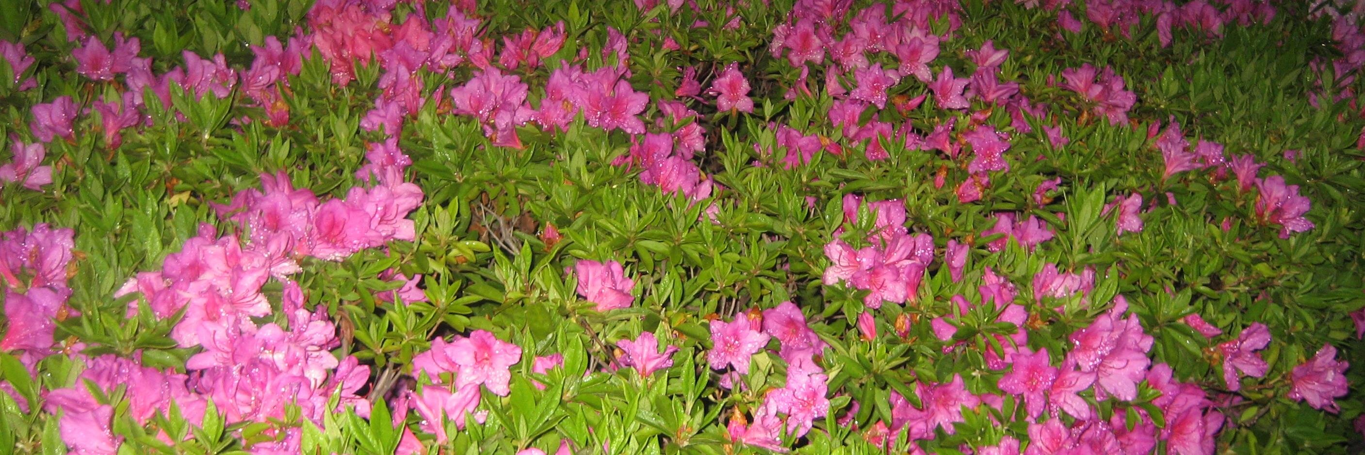 ja0402660's profile banner image