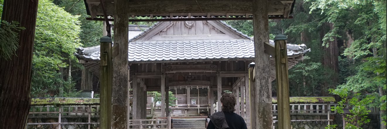 Alex banner