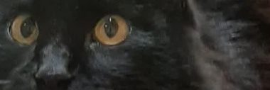 agacats's profile banner image
