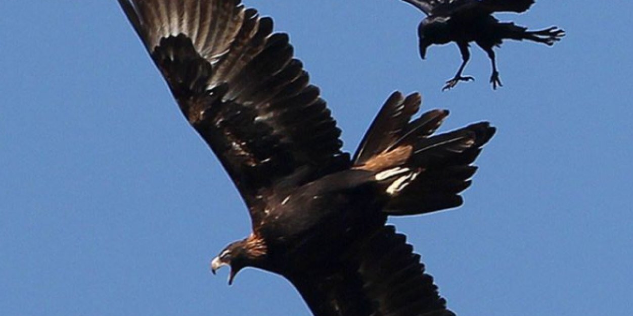 serv1323's profile banner image