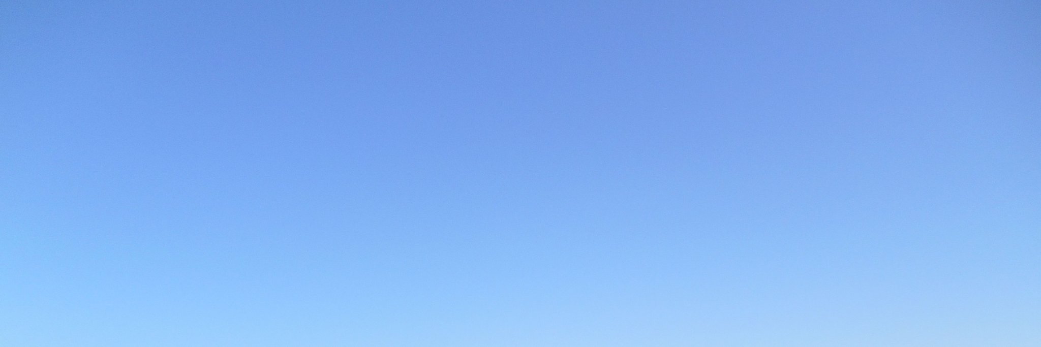 teigr banner