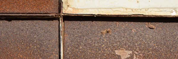 TentacularMag Profile Banner