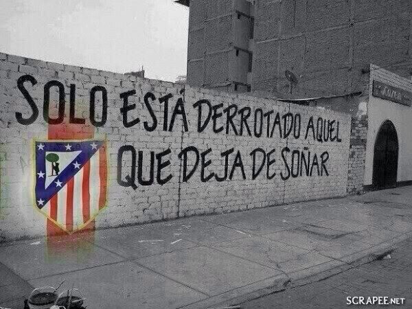 paco0856's profile banner image