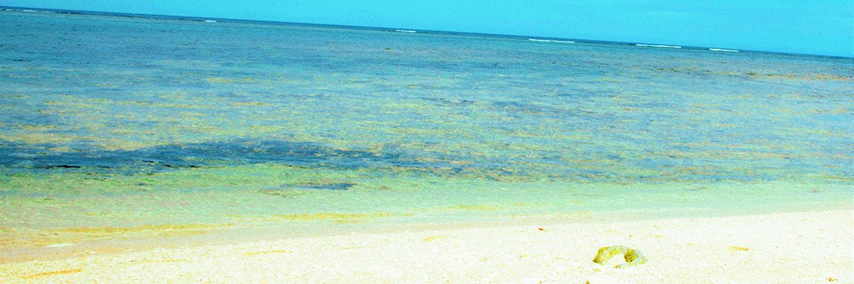 Listyan's profile banner image