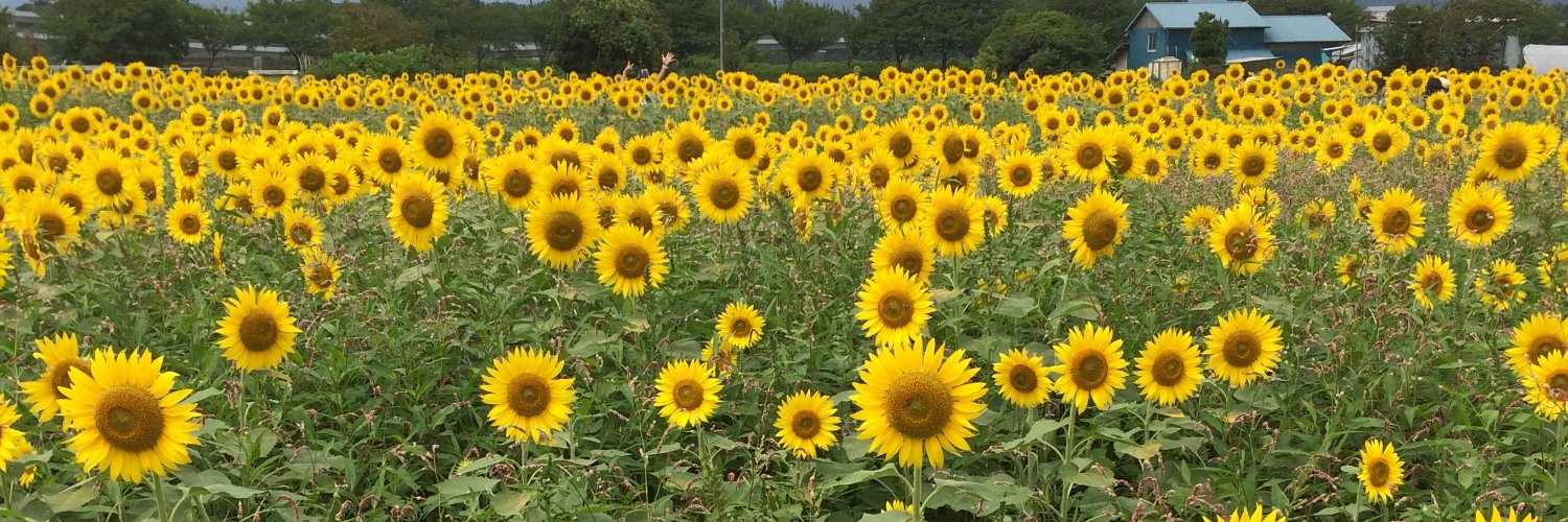 アダム13（アダムおんじ） banner