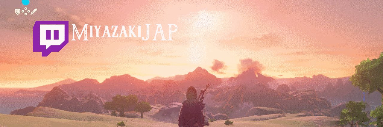 MiyazakiJAP(Nintendo) banner