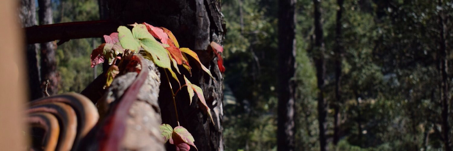 yashaswitax's profile banner image
