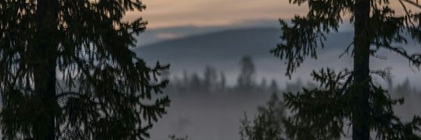 Шаман проти війни 🇺🇦 banner
