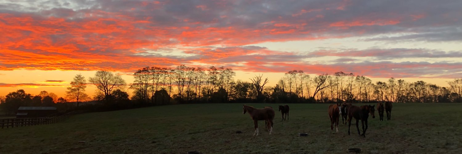 BlackburnFarm's profile banner image