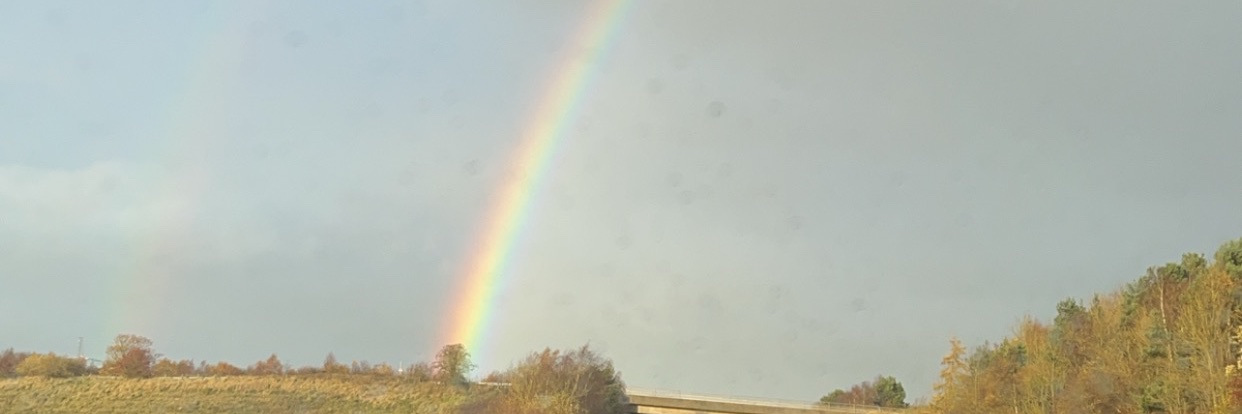 sundaywbu's profile banner image