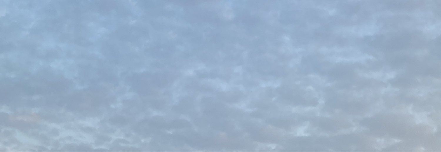 brnallk21's profile banner image