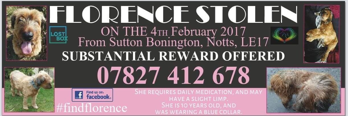 #FindFlorence banner