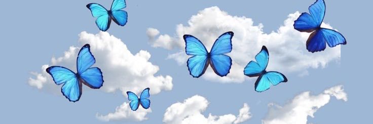 abeer_ad74's profile banner image