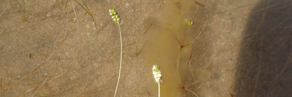 mic_mw Profile Banner