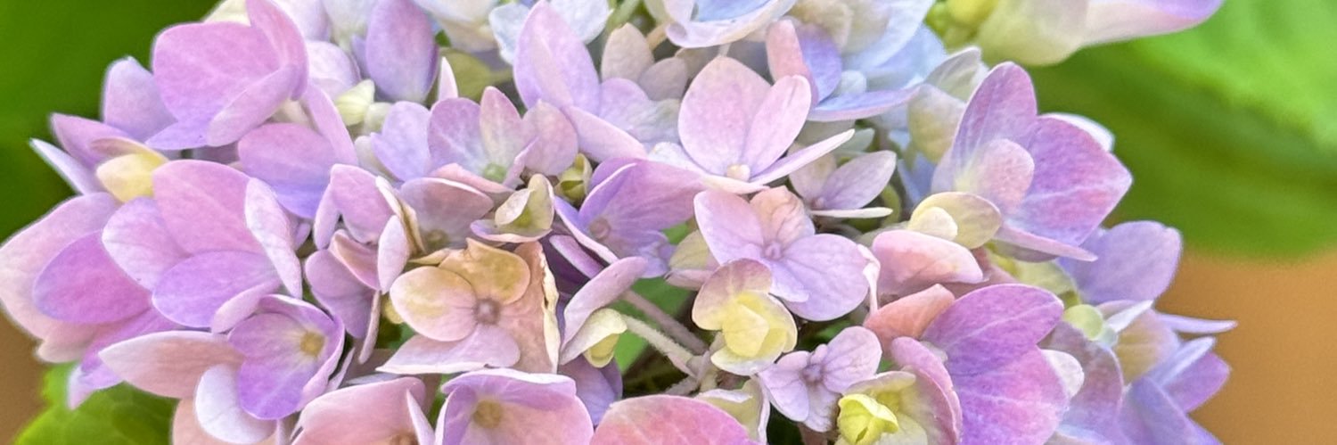 Yvette_510's profile banner image