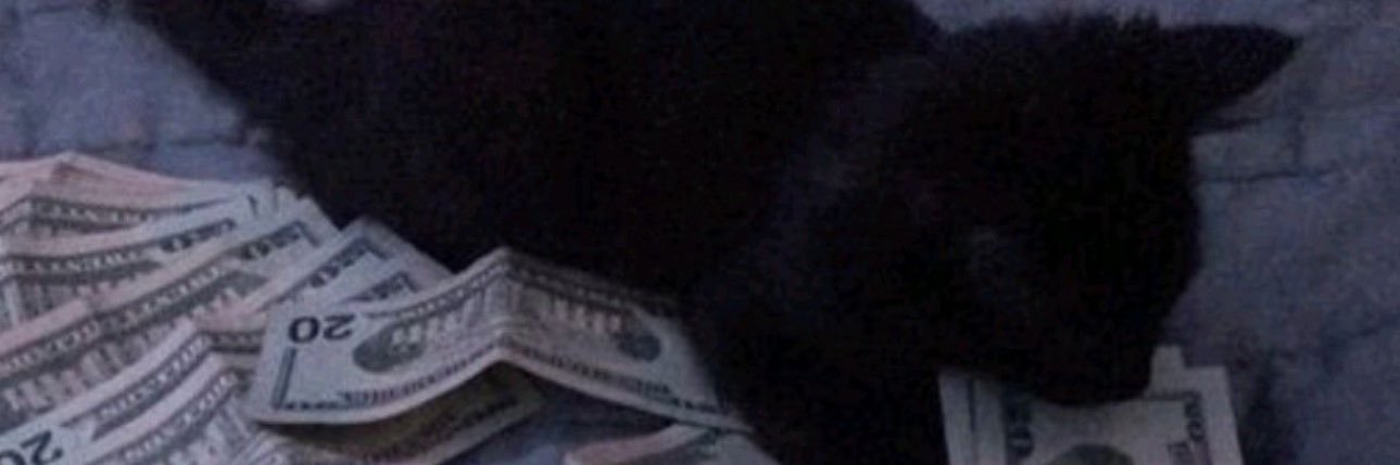 carlota🐈‍⬛ banner