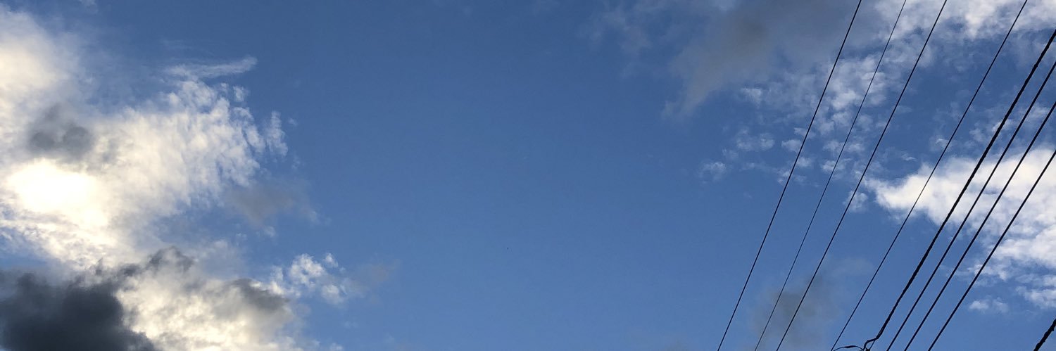 YU banner