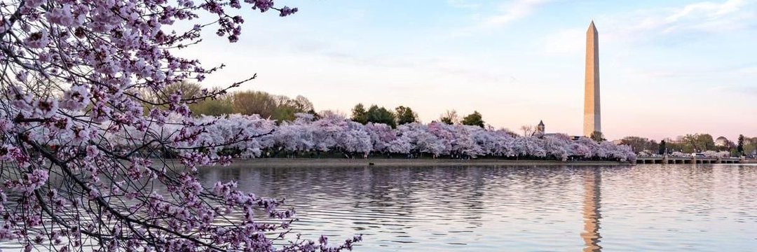 _MaddyCreations's profile banner image