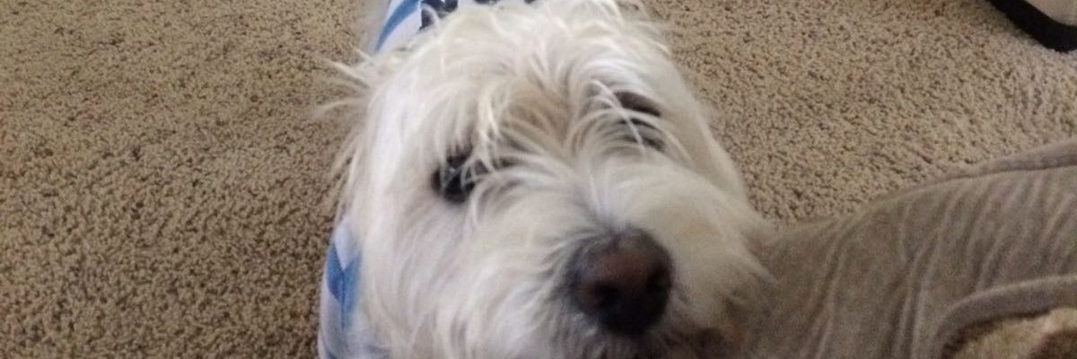 rentech68's profile banner image