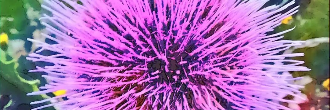 Razzyxx's profile banner image