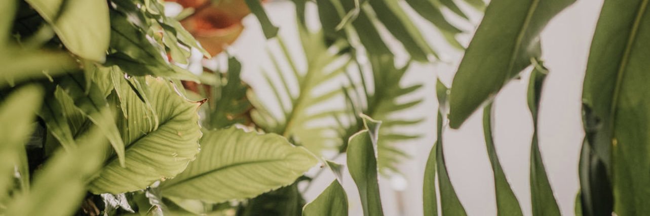 msyaap's profile banner image