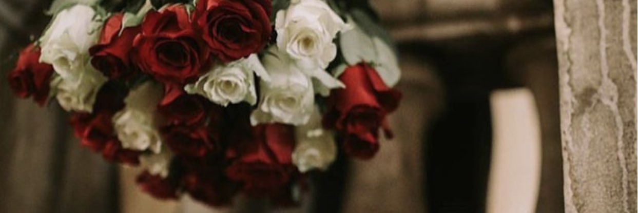 Shosho74400810's profile banner image