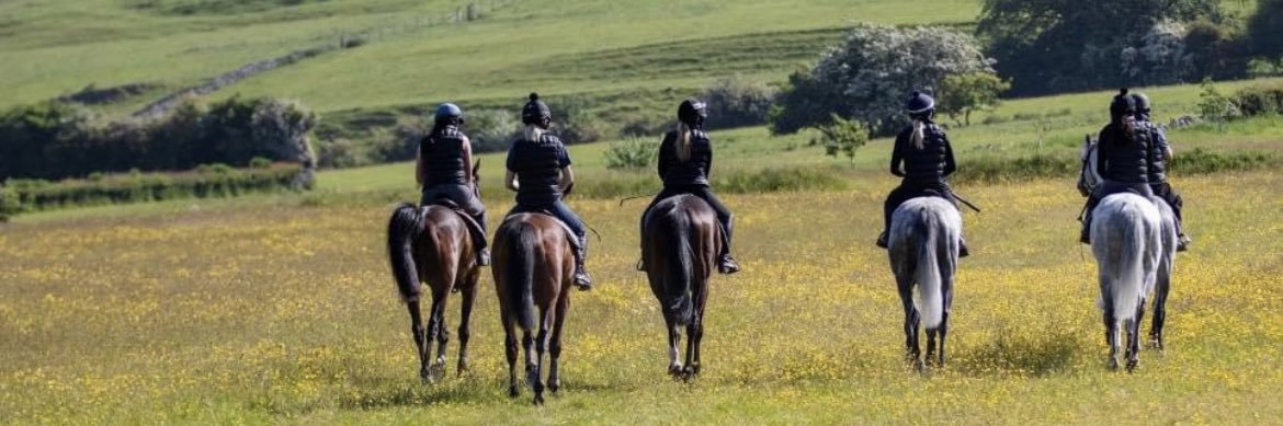 James Moffatt Racing Stables banner