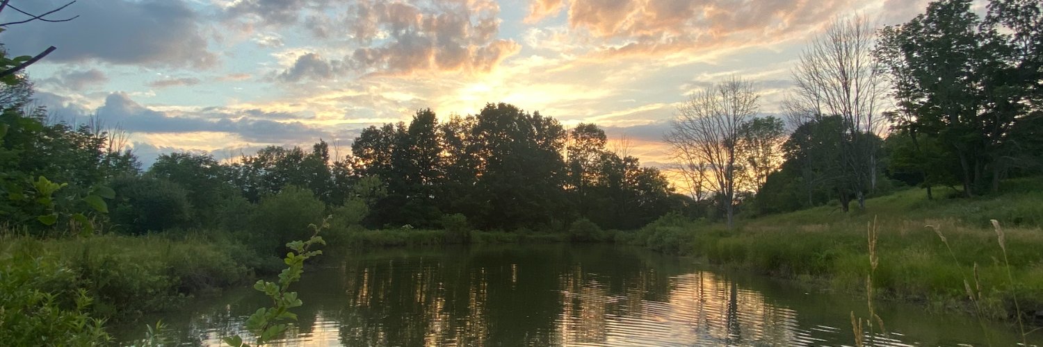 MelissaJLudwig's profile banner image