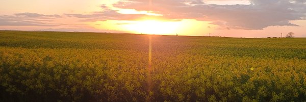 amyconnery34 Profile Banner