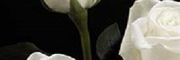 ResilientWaysFndn banner