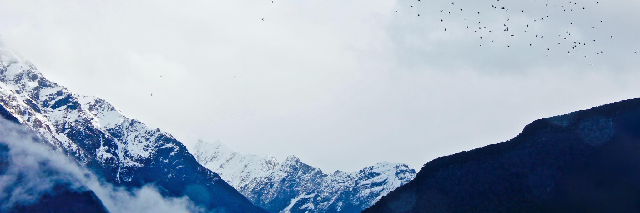 matte_pap's profile banner image
