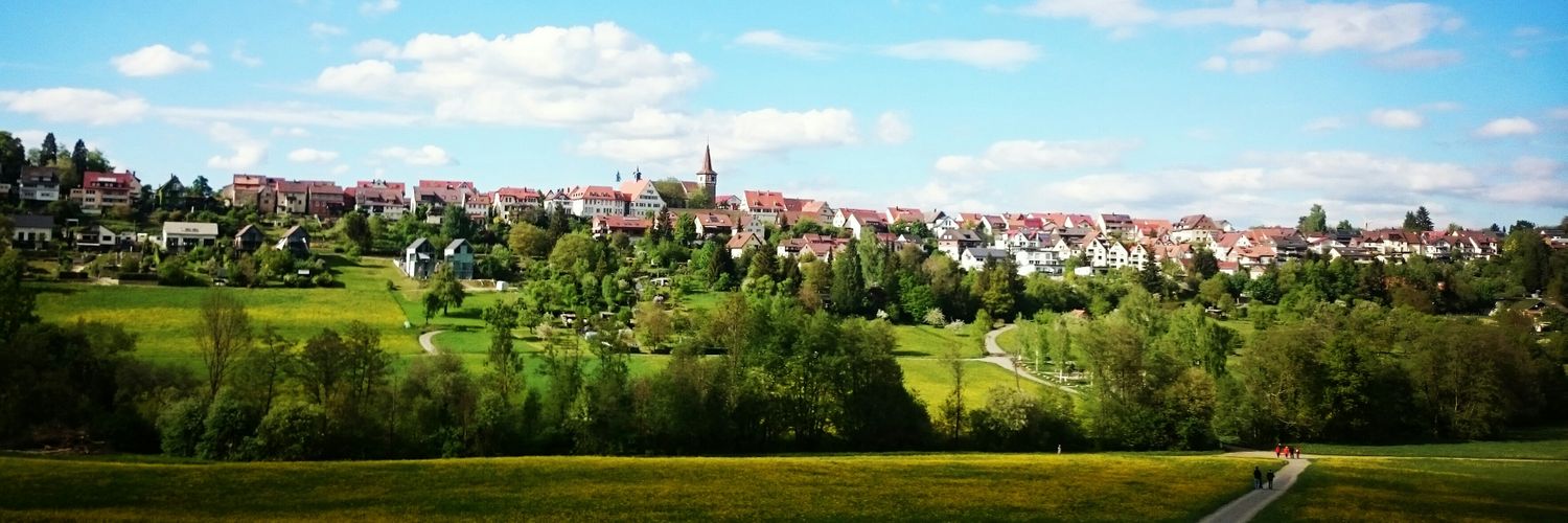 Vavoor's profile banner image