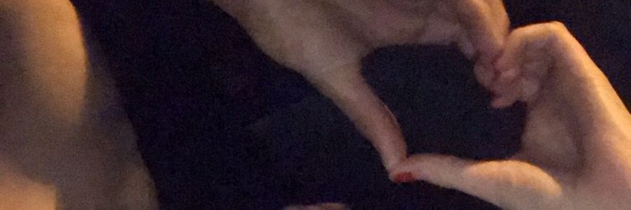 Thiago_casa2's profile banner image