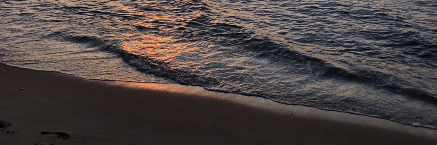 paulalommel's profile banner image