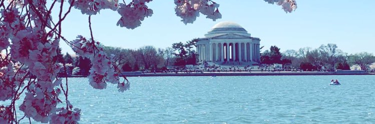 looloo532's profile banner image